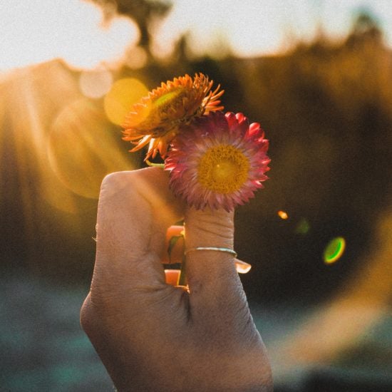 hand holding flowers